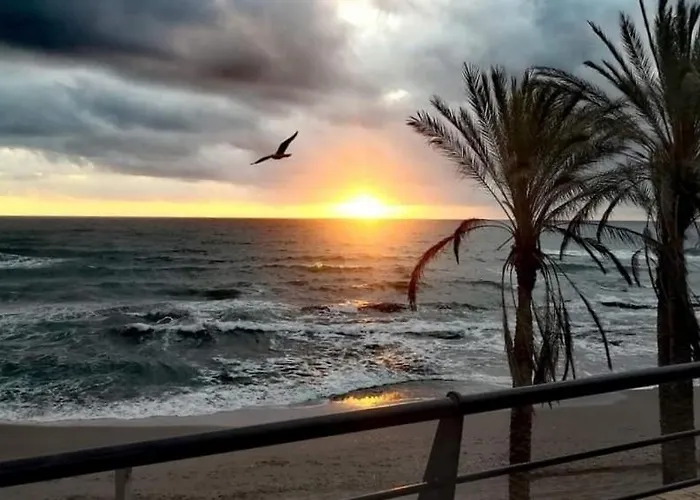 Holidays Sun Benalbeach Benalmadena